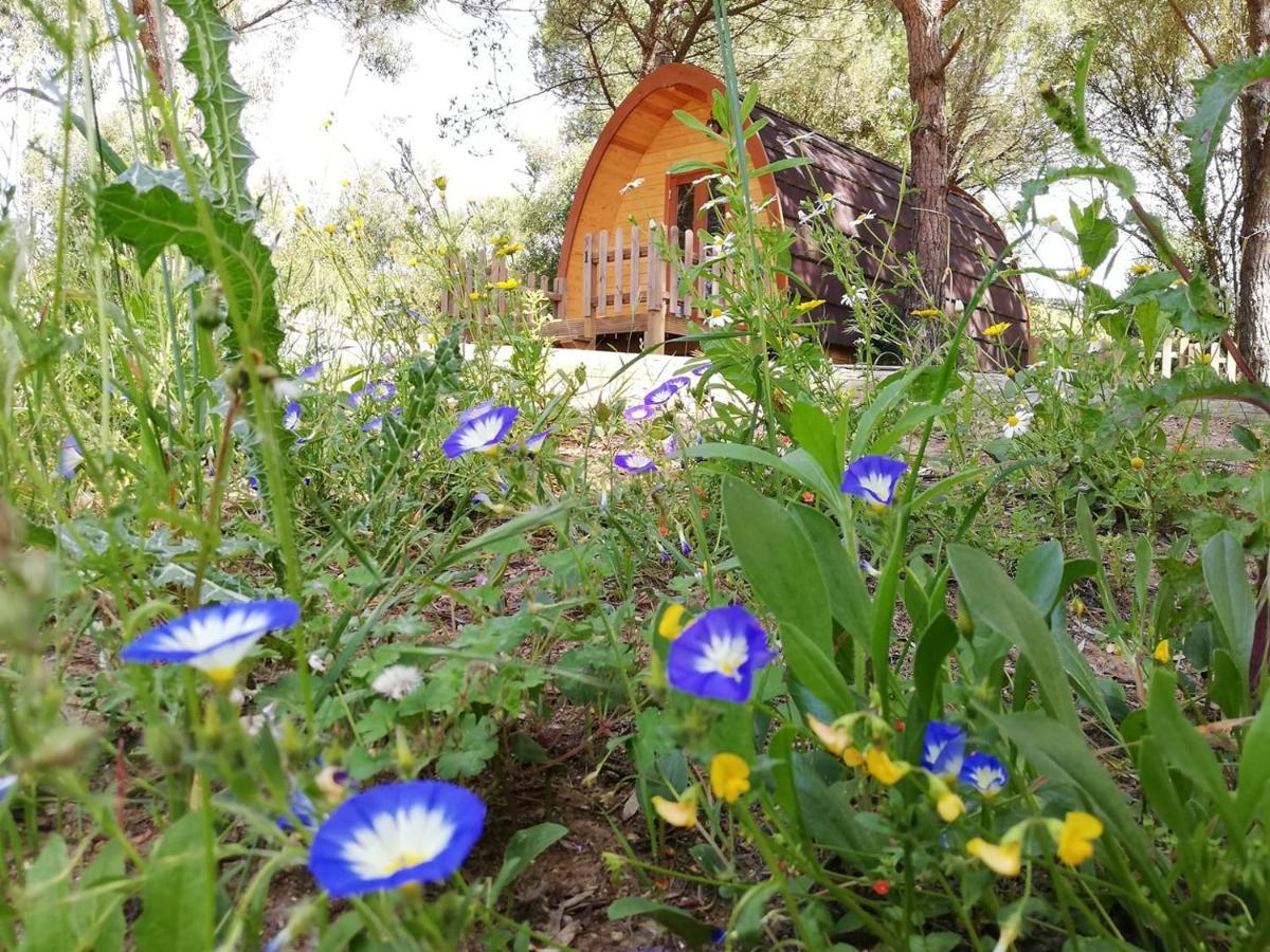 Glamping Sintra Hotel Exterior foto