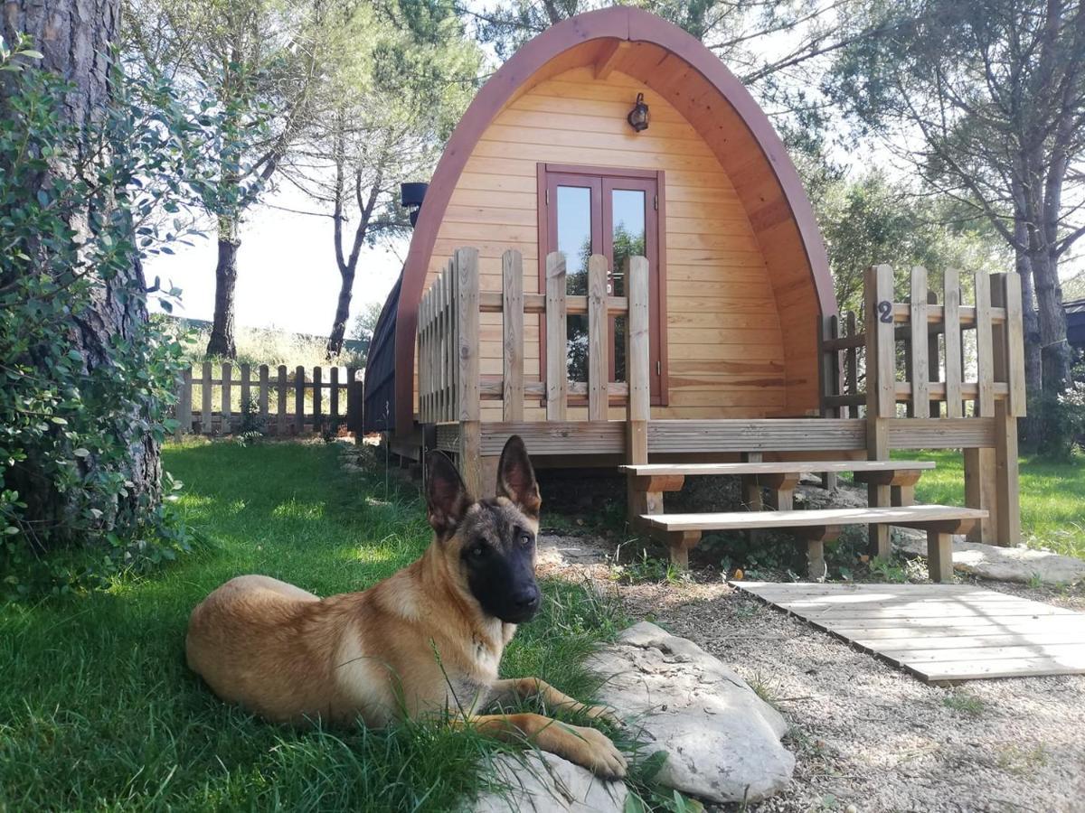Glamping Sintra Hotel Exterior foto
